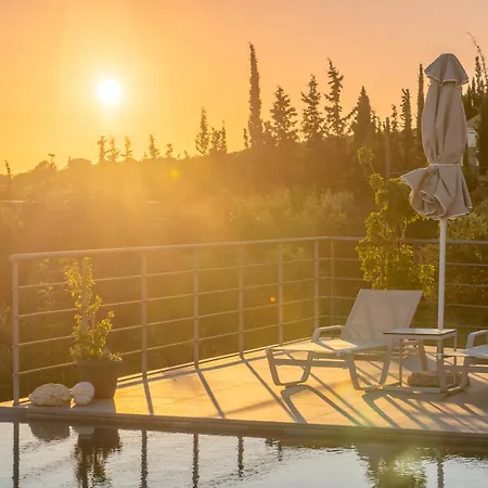 Anemone Vila Mousata